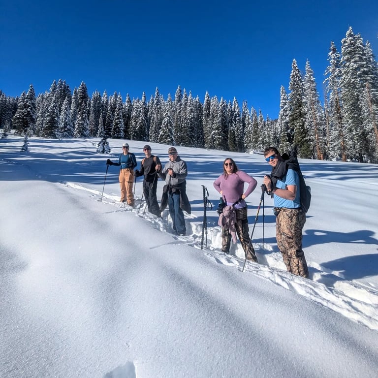 Private Guided Snowshoe In Telluride image