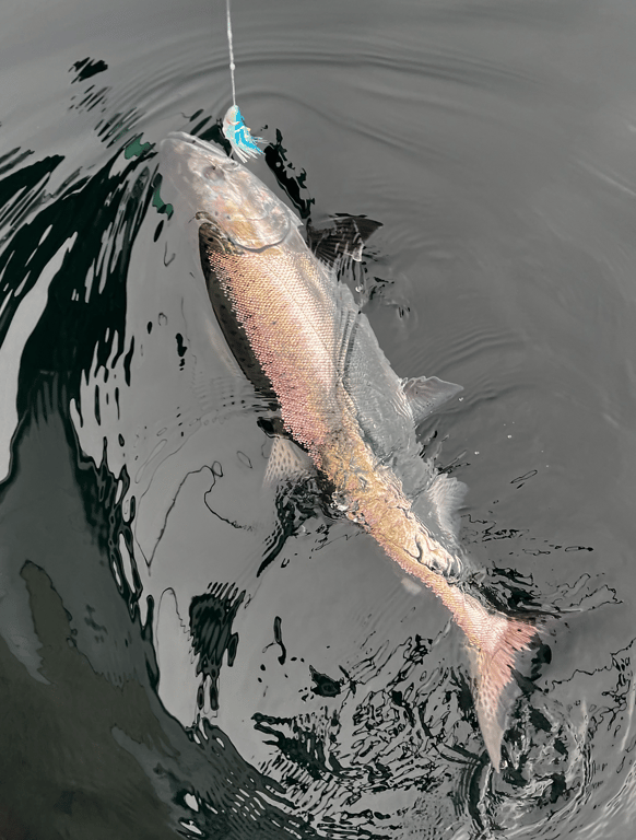 Sitka Salmon Fishing Tour Image 5