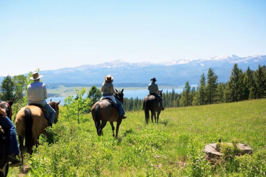 Riders enjoy a peaceful horseback trail with mountain and lake views under a clear sky.