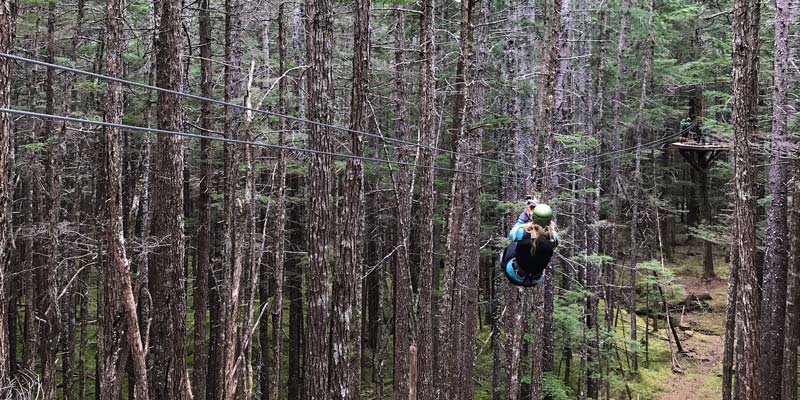 Which Alaska Zipline Tour is Right for Me?