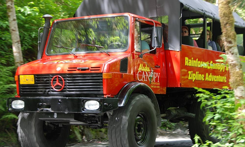 Rainforest Canopy & Zipline Expedition Tour Image 9