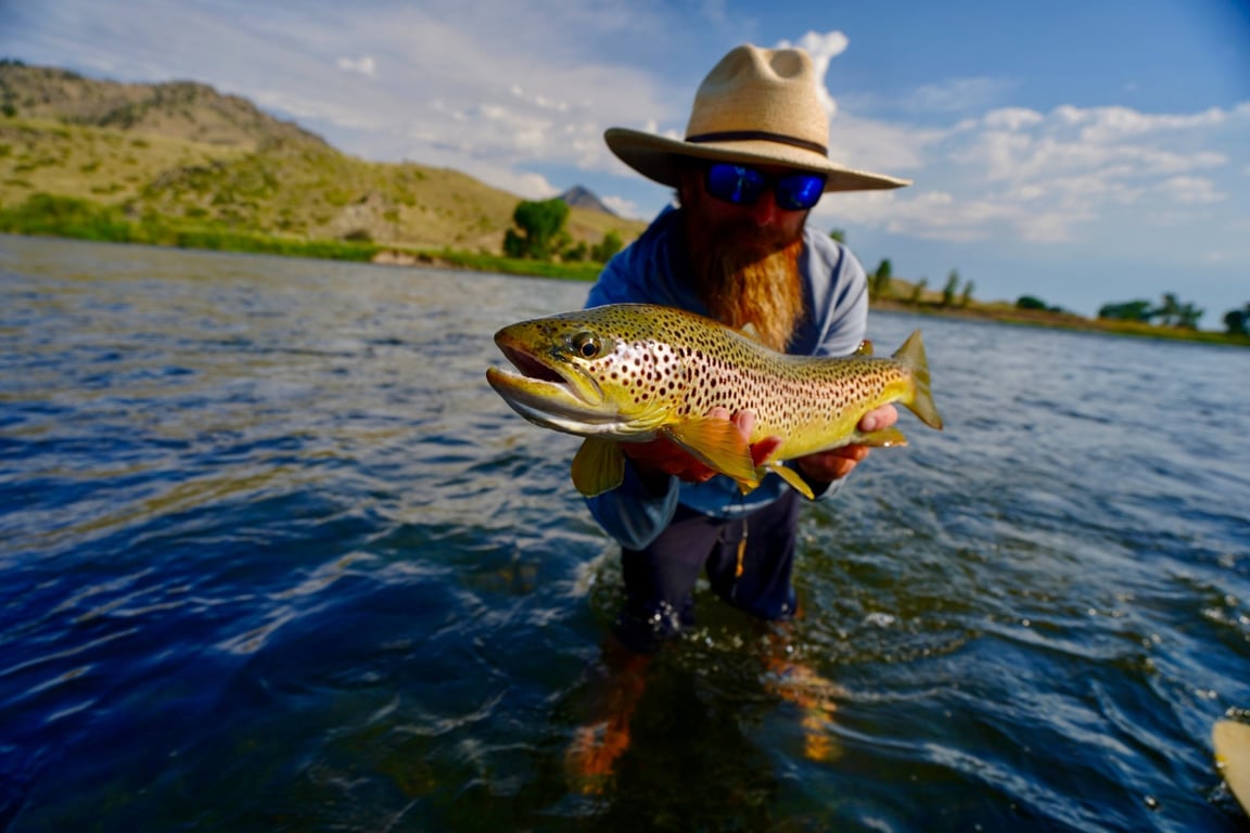 Flathead River Fly Fishing Trip - Half Day image