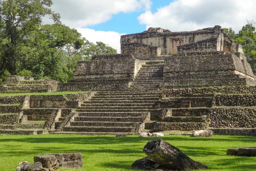 A grand Mayan temple surrounded by greenery, showcasing ancient architecture and cultural history.