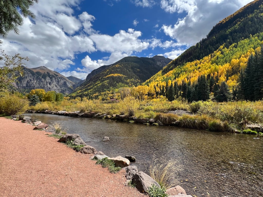 Telluride Bird Watching Tour Tour Image 3