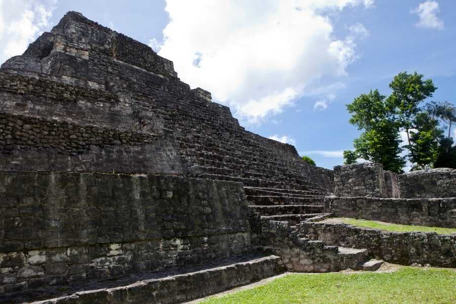 Ancient Mayan pyramid surrounded by lush greenery, offering a glimpse into a rich and mysterious history.