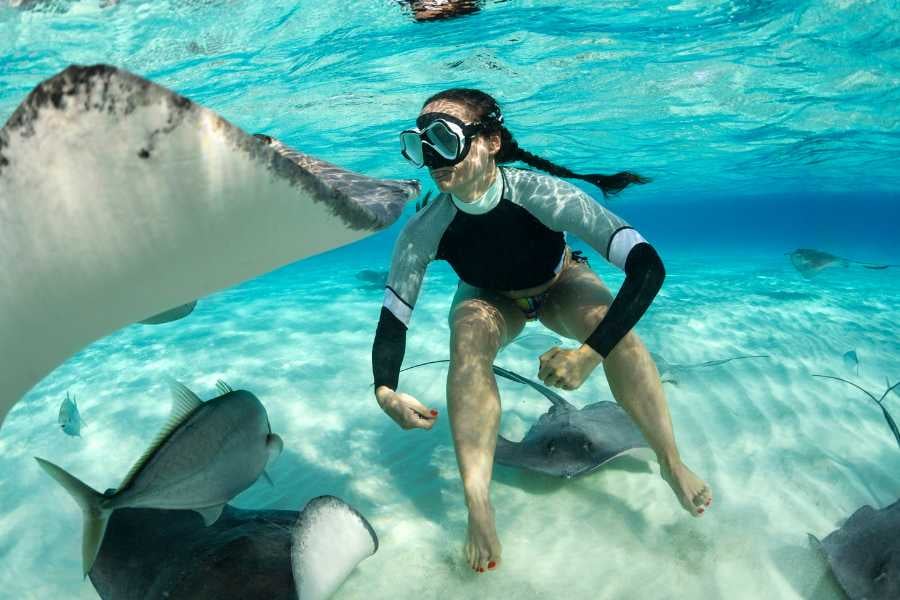 A snorkeler swims with stingrays in clear water, surrounded by fish.