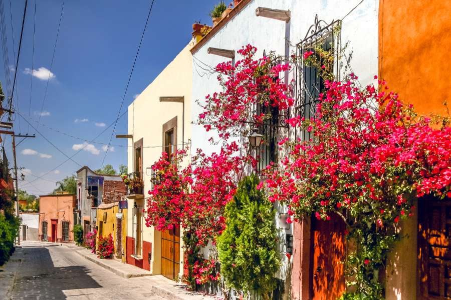 A peaceful street lined with vibrant houses and blooming pink bougainvillea under a bright blue sky.