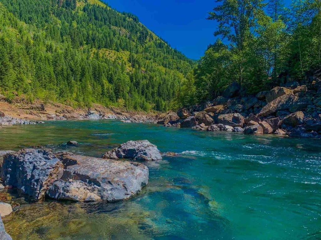 Montana Fly Fishing - Half-Day Tour Image 9