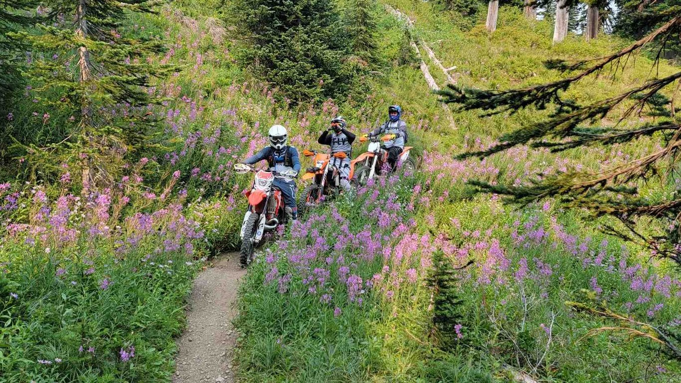 Bike Tours Off Road Mountain Bike Tracks Near Me State Forest