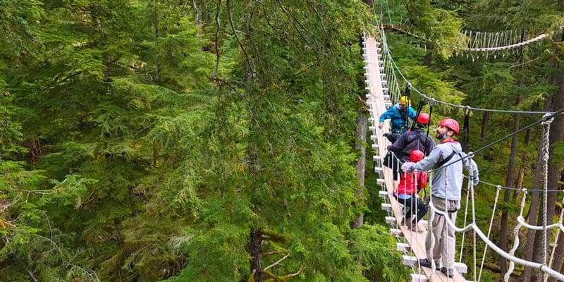 Which Alaska Zipline Tour is Right for Me?