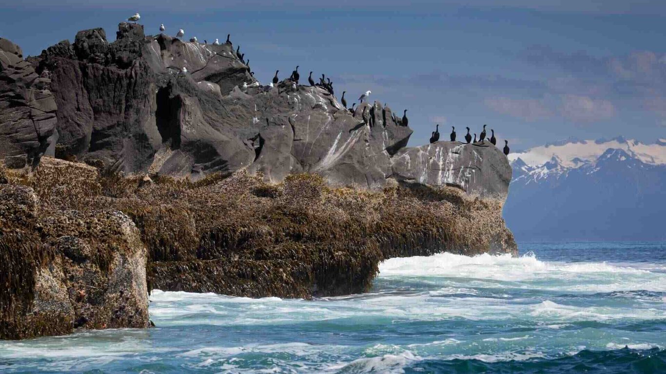 Private Photo Safari, Beachcombing, & More Tour Image 4
