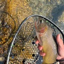 Unforgettable Fishing review image 1