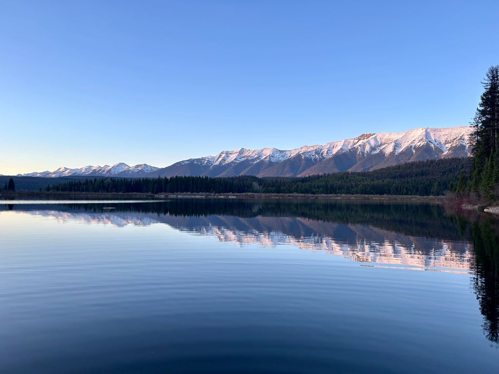 Swan Valley Wildlife & Sightseeing Tour Tour Image 2