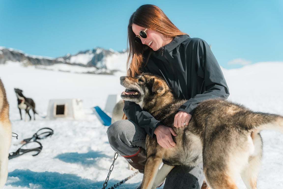Helicopter Glacier & Dog Camp Adventure image