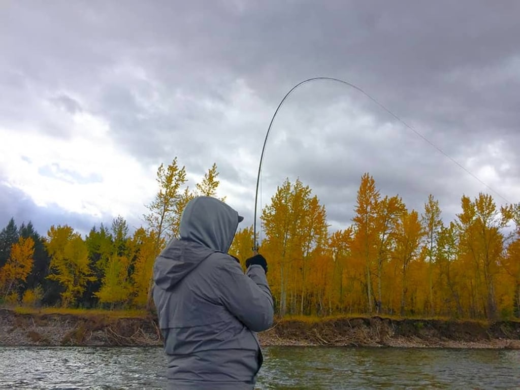 Montana Fly Fishing - Half-Day Tour Image 7