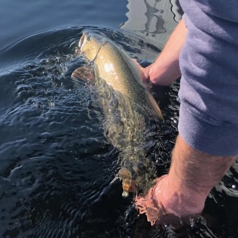 Flathead Lake Fishing Charter - Half-Day Tour Image 10