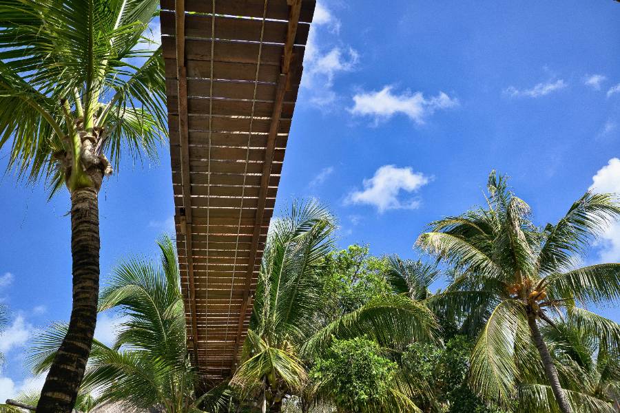 Our Favorite Things to Do & See in Mahahual