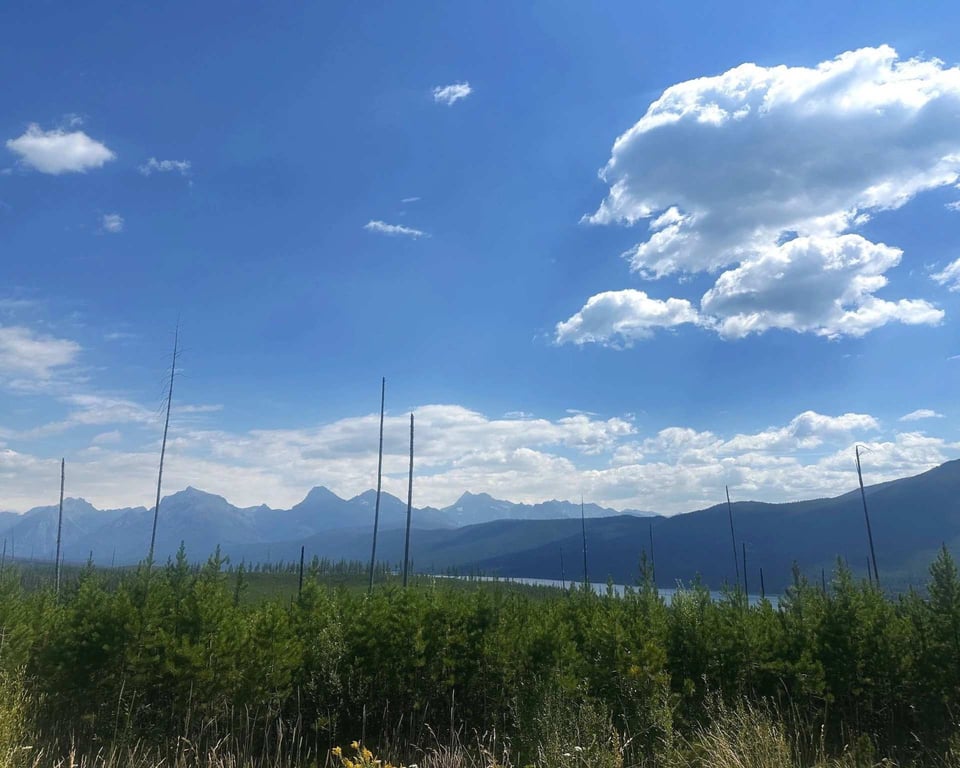 Half-Day Glacier Park E-bike Adventure image