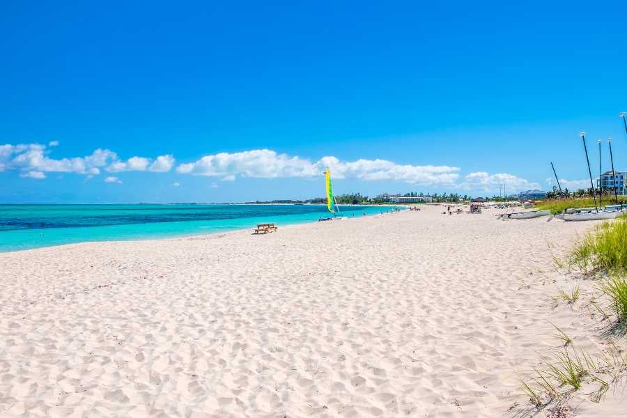 A beautiful view of the beach