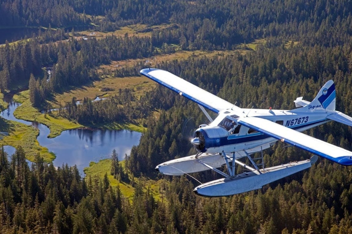 Misty Fjords Flightseeing Tour Image 8