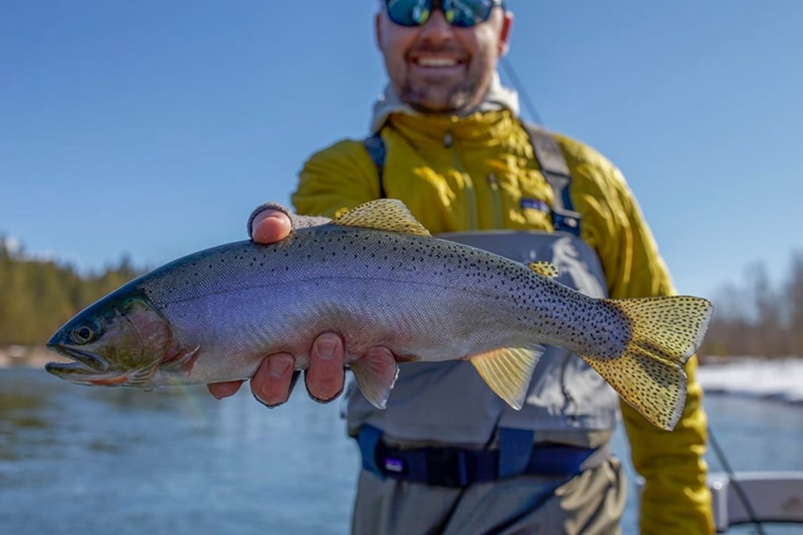 Montana Fly Fishing - Half-Day image
