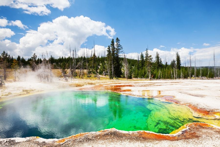 Vibrant hot spring shimmers with green, yellow, and orange colors in the sun.