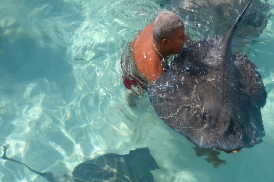 Stingray City: Our Expert Visitor's Guide