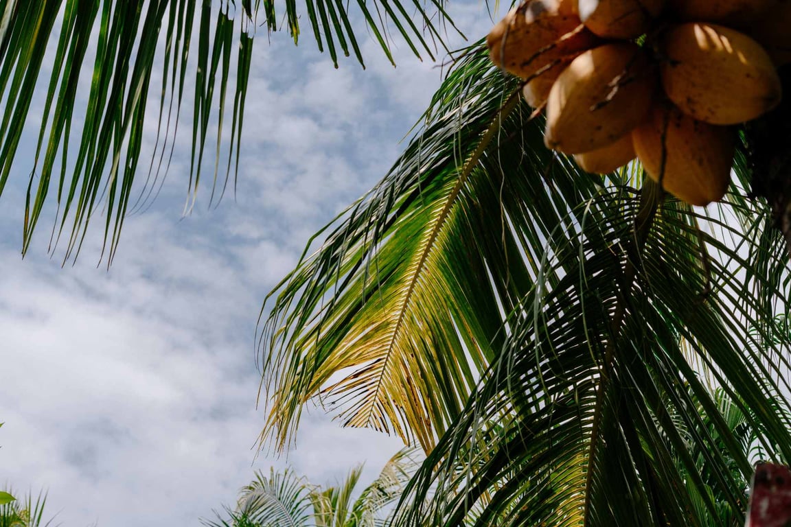 Belize City's Weather: What to Expect in Every Seasonh image