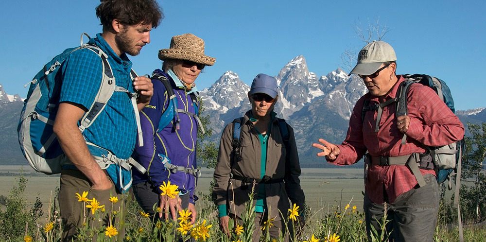 Best Hiking Tours In Jackson Hole