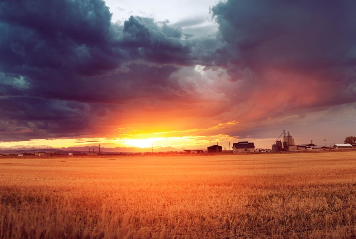 Bozeman Wildlife & Scenic Sightseeing Tour Tour Image 5
