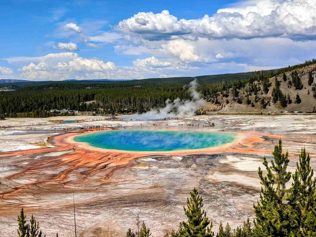 Wonders of Yellowstone Lower Loop Tour From West Yellowstone Tour Image 2
