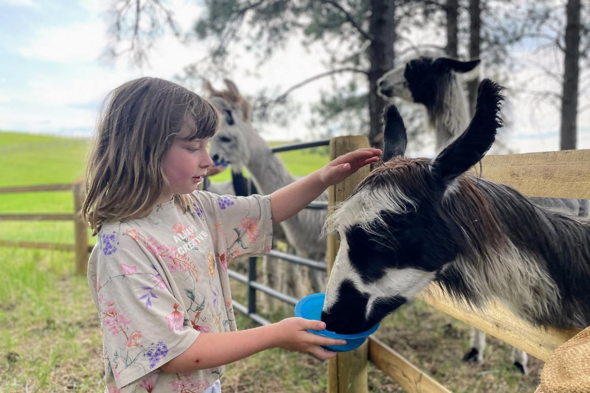 Llama Tour image