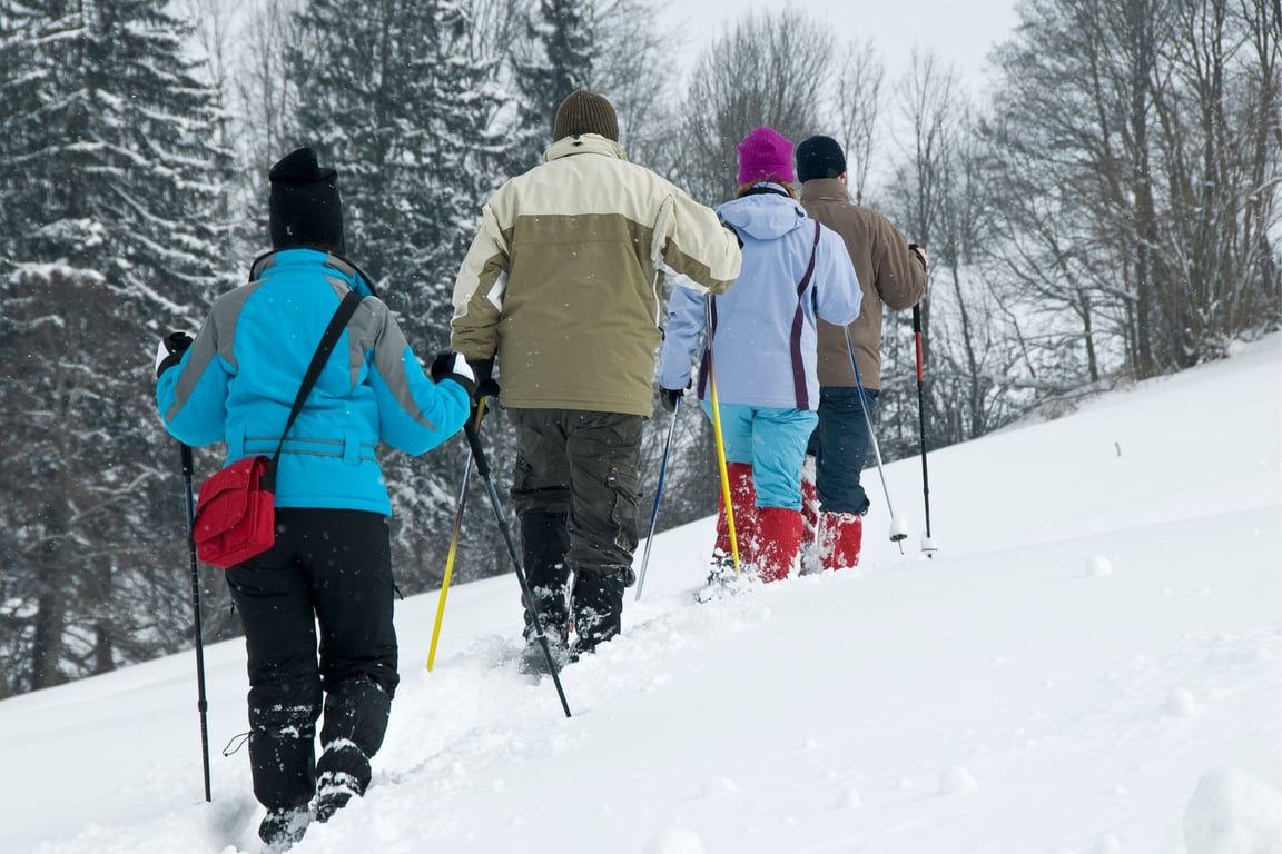 Guided Snowshoe Tour - Full Day Tour Image 2