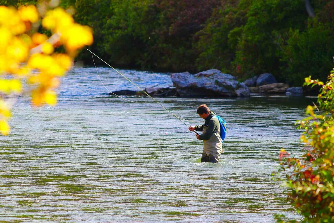 Full Day Fly Fishing School image