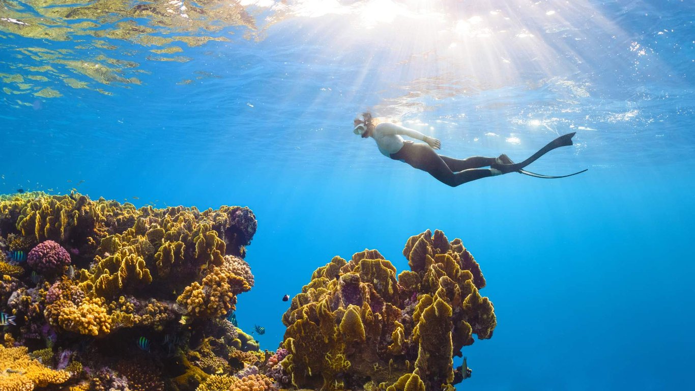 Our Favorite Things to Do & See in Columbia Reef image