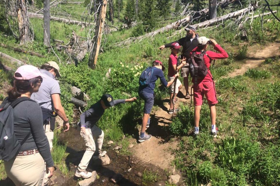 Lamar Valley Full Day Hiking Adventure image