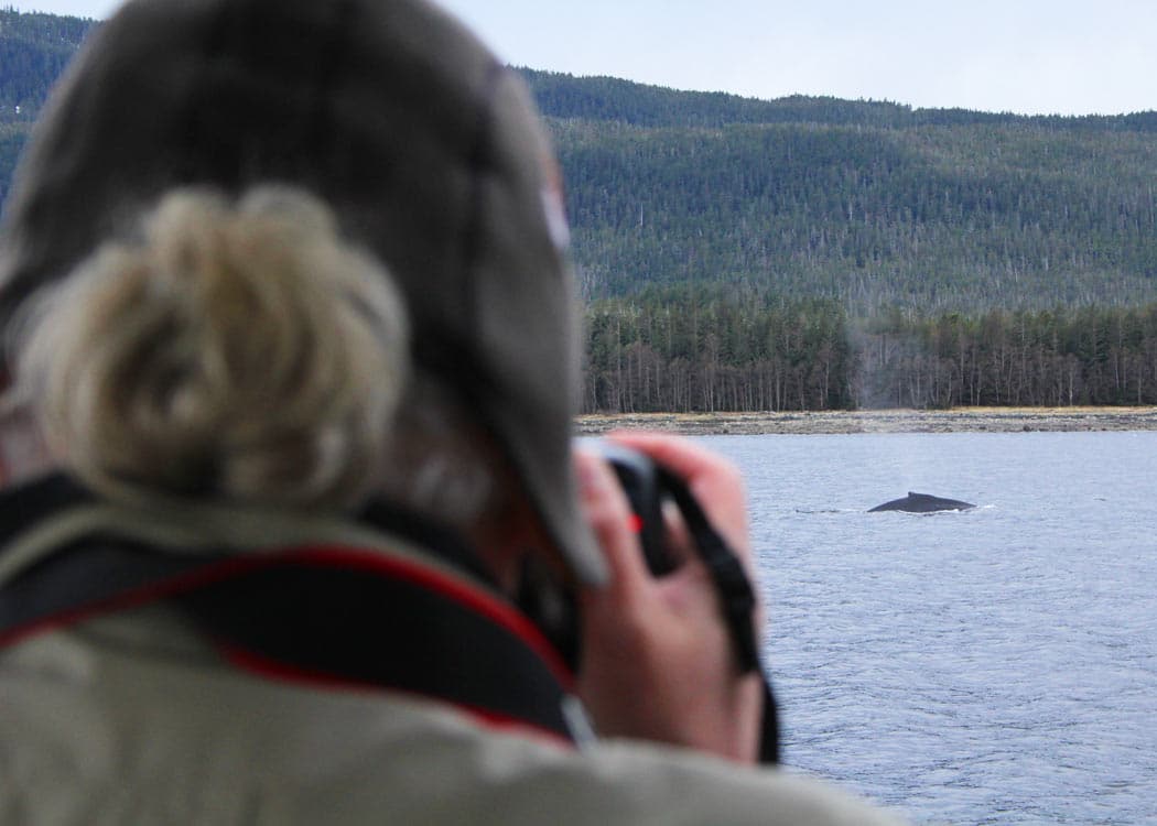 Whale Watching & Mendenhall Glacier Tour Tour Image 18