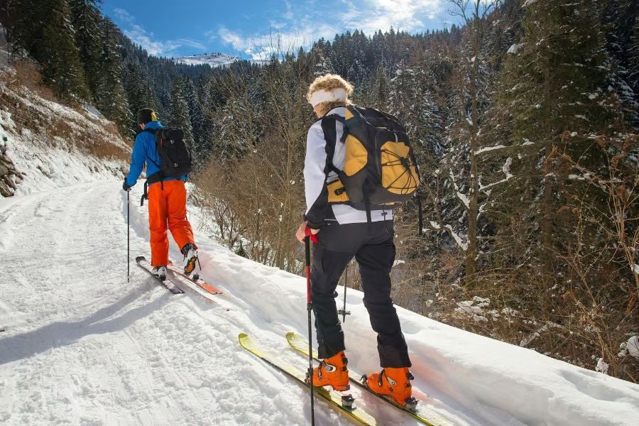 Two skiers travel uphill on a snowy forest trail with backpacks and bright winter gear.