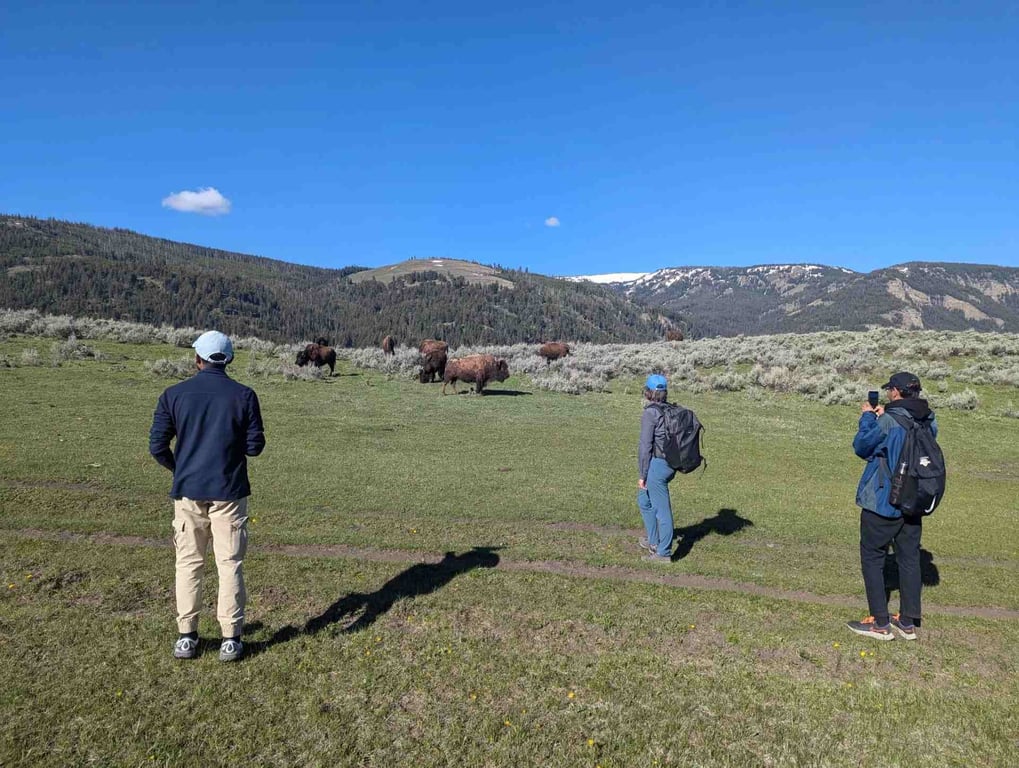 Lamar Valley Full Day Hiking Adventure Tour Image 2
