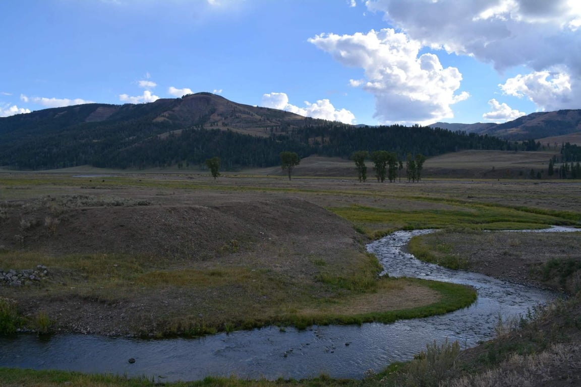 Lamar Valley Full Day Hiking Adventure Tour Image 9