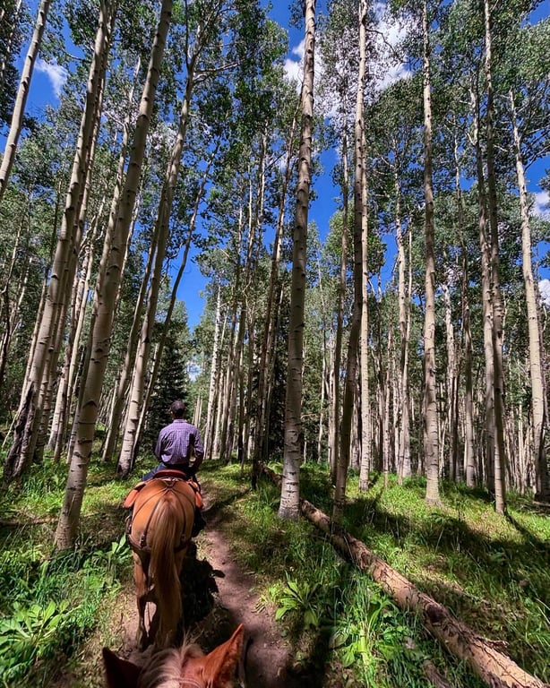 Horseback Trail Rides Private 3 Hours Tour Image 4