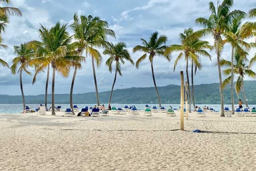 A sunny beach with lounge chairs under palm trees, perfect for relaxing by the water.