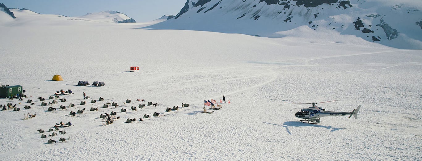 Anchorage Helicopter and Glacier Dogsled Tour With Transportation Tour Image 4