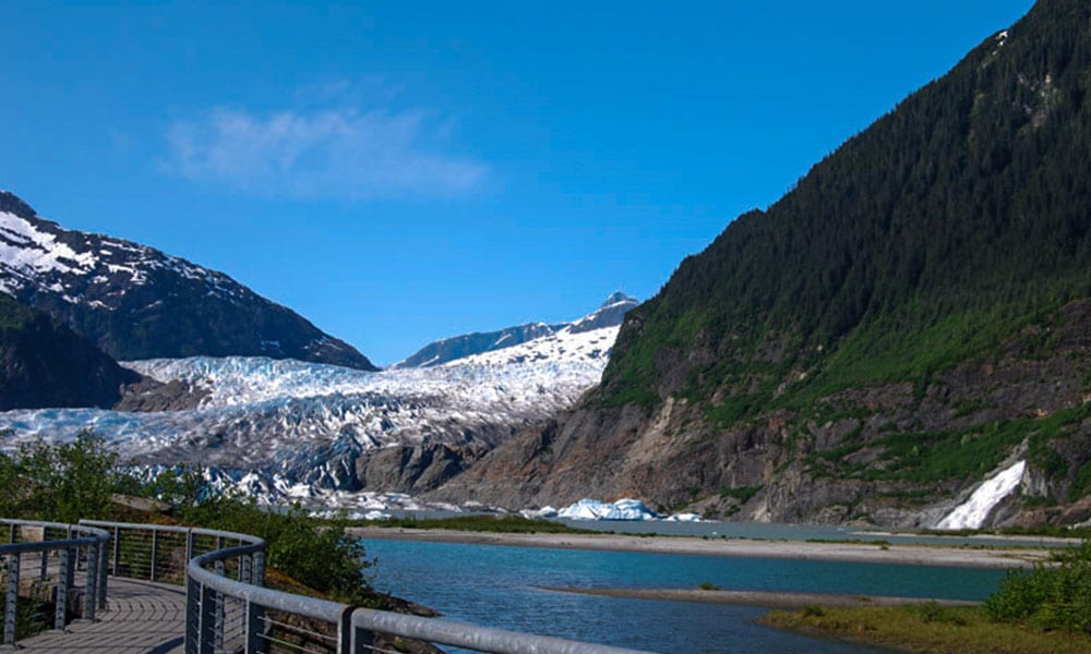 Whale Watching & Mendenhall Glacier Tour Tour Image 11