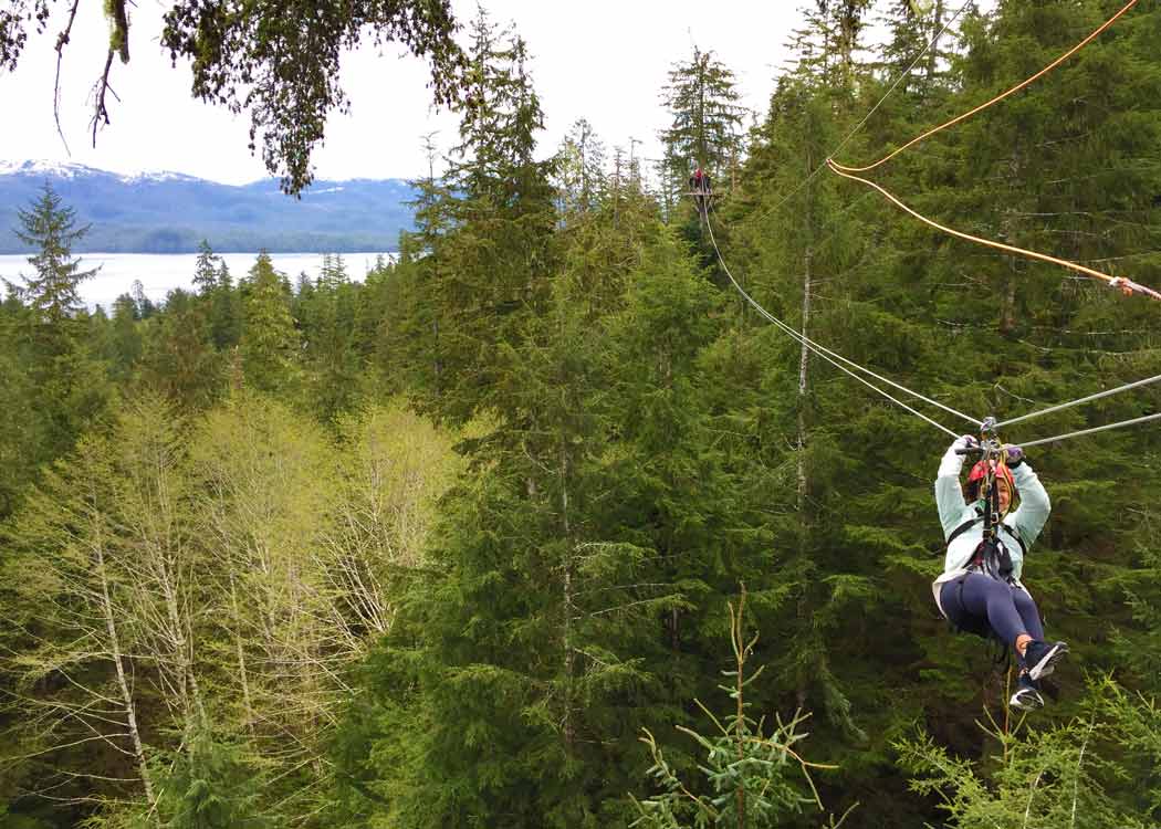 Rainforest Canopy & Zipline Expedition Tour Image 2