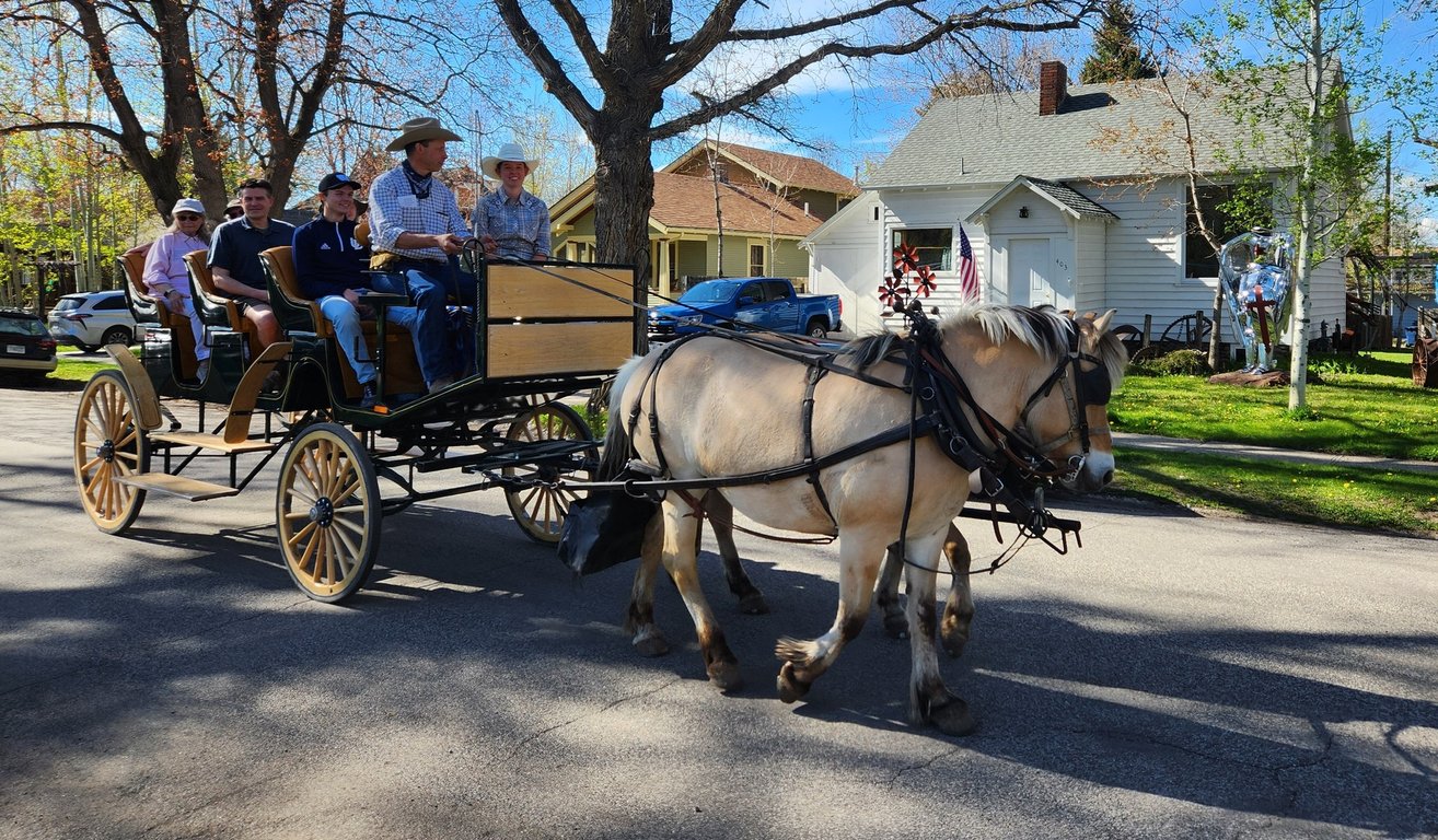 One Hour Bozeman City Carridge Tour Image 3