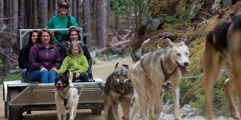 The 6 Best Kid-Friendly Shore Excursions and Alaska Family Tours
