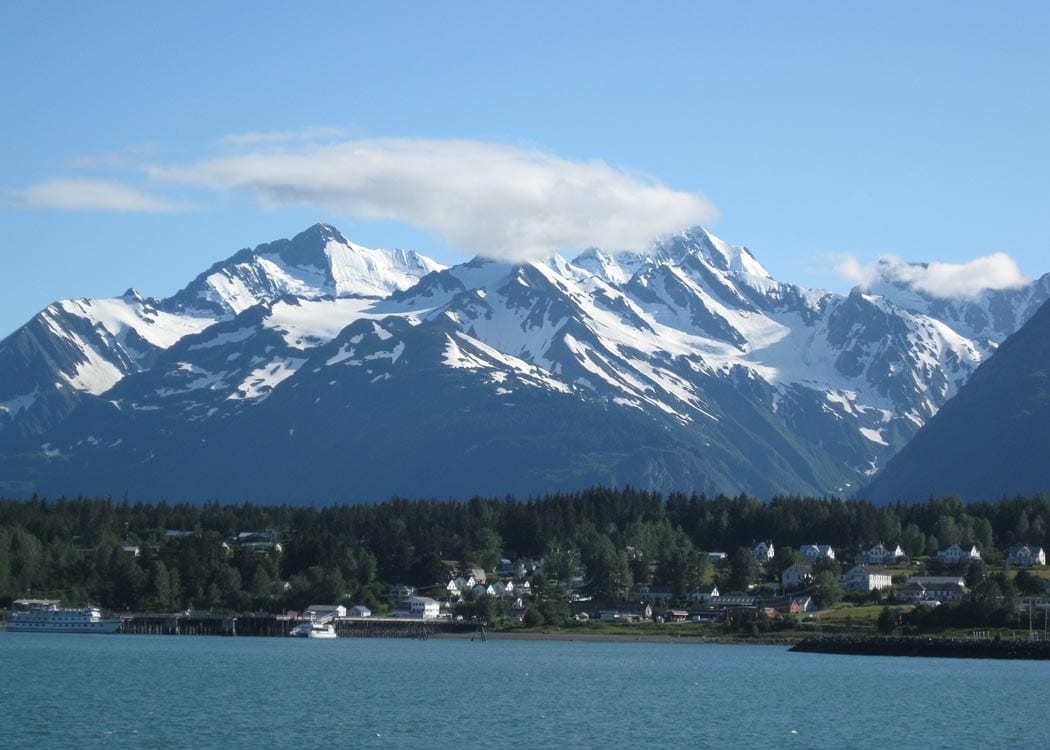 Wildlife Safari & Bear Viewing Tour Image 5