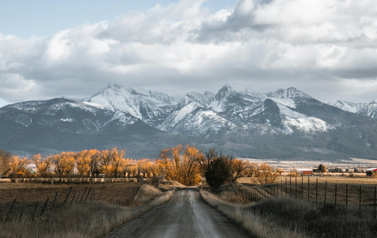 Bozeman Wildlife & Scenic Sightseeing Tour Tour Image 2
