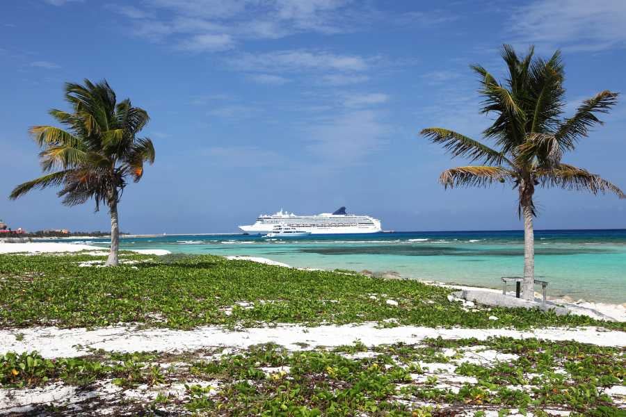 A pristine beach with swaying palm trees, vibrant greenery, and a cruise ship anchored in the distance.